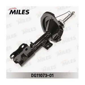DG11073-01 MILES