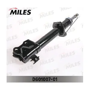 DG01007-01 MILES
