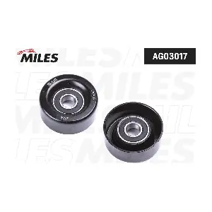 AG03017 MILES