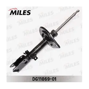DG11069-01 MILES