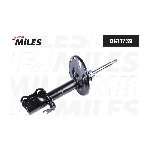 DG11739 MILES