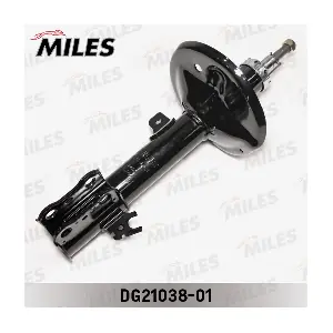 DG21038-01 MILES