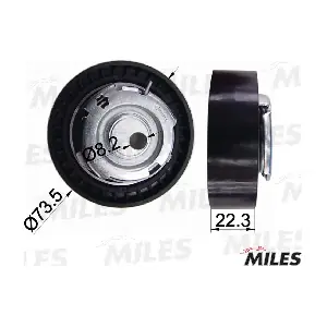AG02005 MILES
