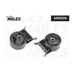 AR00224 MILES