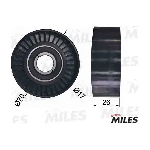 MILES AG03061