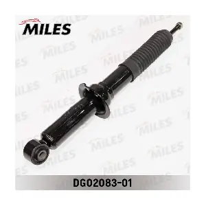 DG02083-01 MILES