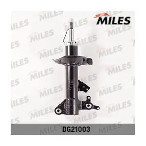 DG21003 MILES