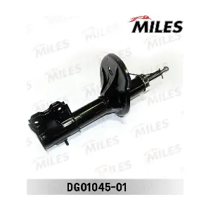 DG01045-01 MILES