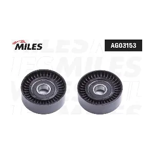 AG03153 MILES