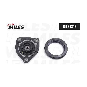 MILES DB31213