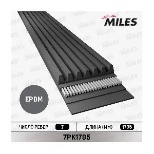MILES 7PK1705