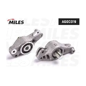 AG00319 MILES