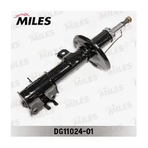 MILES DG11024-01