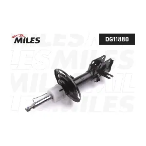 DG11880 MILES