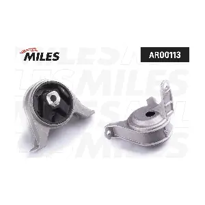 AR00113 MILES