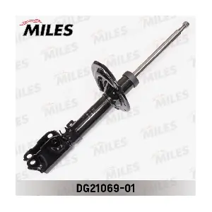 DG21069-01 MILES