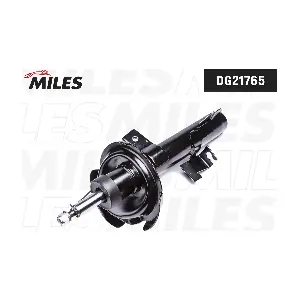 MILES DG21765