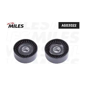 MILES AG03022