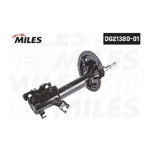 DG21380-01 MILES