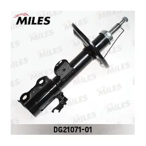 DG21071-01 MILES