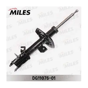 DG11076-01 MILES