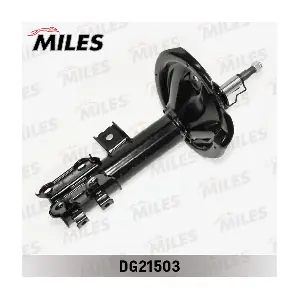 DG21503 MILES