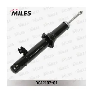 DG12107-01 MILES