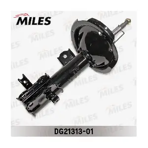 DG21313-01 MILES