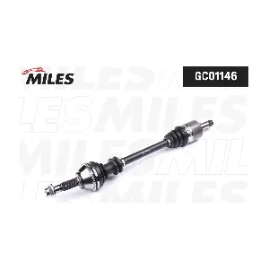 MILES GC01146