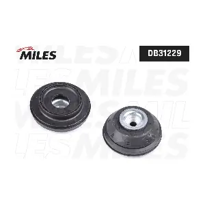 MILES DB31229