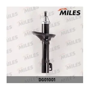 MILES DG01001