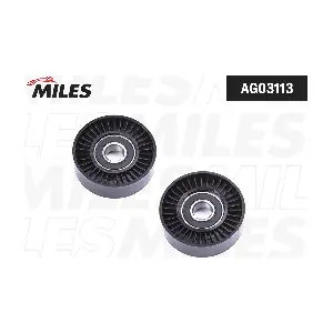 AG03113 MILES