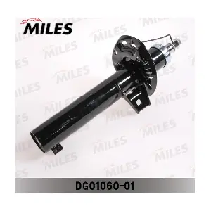 DG01060-01 MILES
