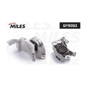 AR00196 MILES
