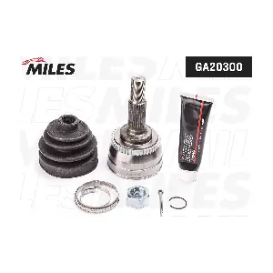 GA20300 MILES