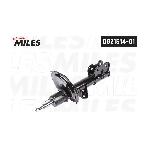 DG21514-01 MILES
