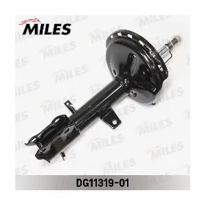 MILES DG11319-01