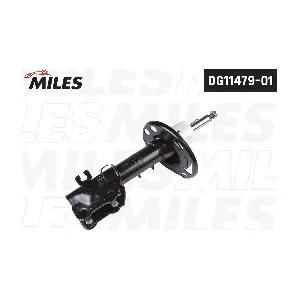 DG11479-01 MILES