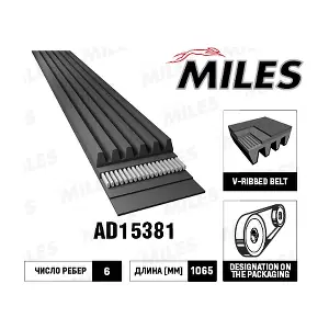 AD15381 MILES
