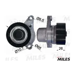 MILES AG00303