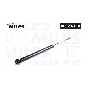 MILES DG02371-01