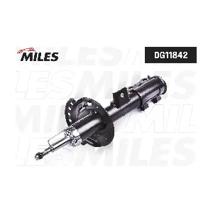 DG11842 MILES