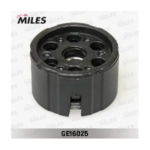 GE16025 MILES