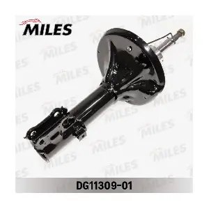 DG11309-01 MILES