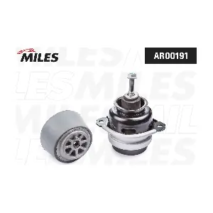AR00191 MILES