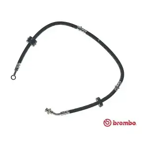 T 79 009 BREMBO