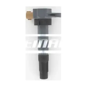 CP441 LEMARK