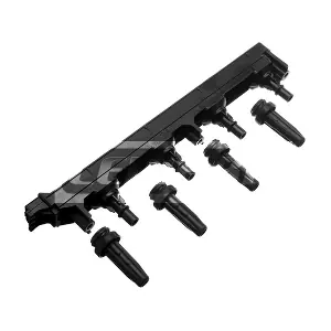 CP296 LEMARK