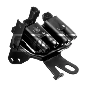 CP307 LEMARK