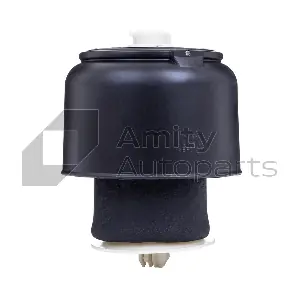 10-AS-0017 Amity AP